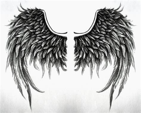 black fallen angel wings|fallen angel wings drawing.